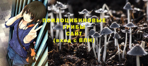 стафф Арсеньев