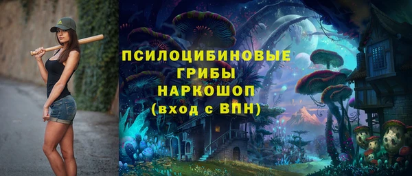 мдпв Армянск