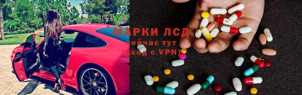 индика Алексин