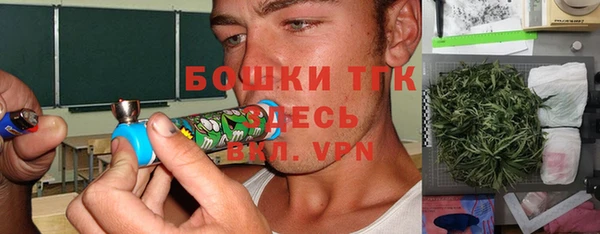 индика Алексин