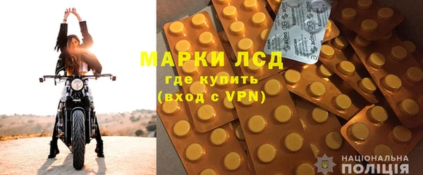 стафф Арсеньев