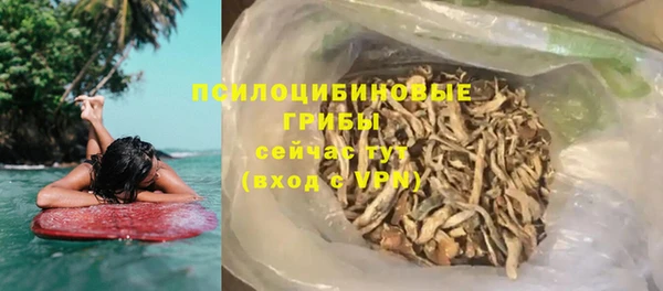 гидра Аркадак